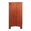 Saint Birch Hawksbury Wood 2 Door Storage Cabinet in Cherry