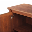 Saint Birch Hawksbury Wood 2 Door Storage Cabinet in Cherry