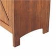 Saint Birch Hawksbury Wood 2 Door Storage Cabinet in Cherry