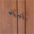 Saint Birch Hawksbury Wood 2 Door Storage Cabinet in Cherry
