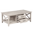 Saint Birch Honduras Wood Coffee Table With 2 Drawers in Washed Gray