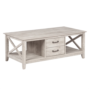 saint birch honduras wood coffee table with 2 drawers in washed gray