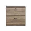 Saint Birch Honduras 2 Drawer Lateral Filing Cabinet in Rustic Oak