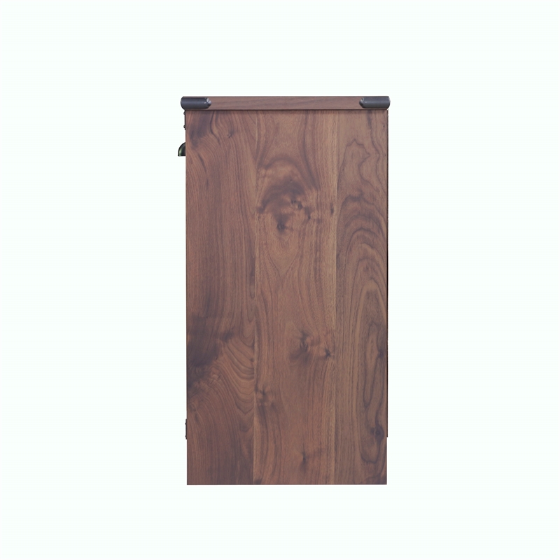 Saint Birch Engineered Wood Contemporary 2 Door Storage in Dark Walnut