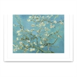 Giant Art 40x30 Almond Blossoms  1890 Matted and Framed in Multi-Color