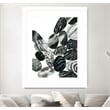 Giant Art 24x32 Dalmatian Rocks II Matted and Framed in White