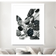 Giant Art 30x40 Dalmatian Rocks II Matted and Framed in White