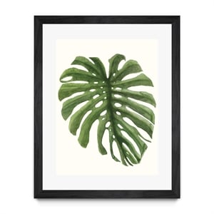 Giant Art 30x40 Tropical Breeze Leaves I Matted and Framed in White