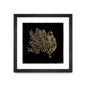 Giant Art 30x30 Gold Coral II Matted and Framed in Multi-Color