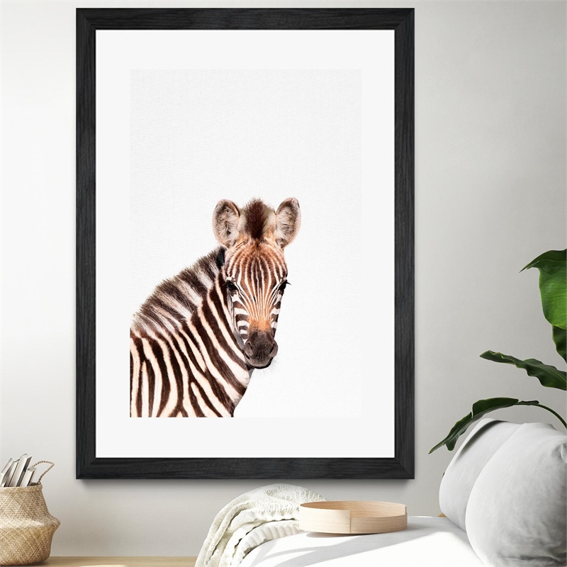 Giant Art 24x36 Baby Zebra Matted and Framed in Multi-Color