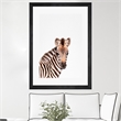 Giant Art 24x36 Baby Zebra Matted and Framed in Multi-Color