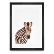 Giant Art 24x36 Baby Zebra Matted and Framed in Multi-Color