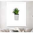 Giant Art 30x40 Modern Cactus Stripe Pot Matted and Framed in Multi-Color
