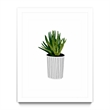 Giant Art 30x40 Modern Cactus Stripe Pot Matted and Framed in Multi-Color
