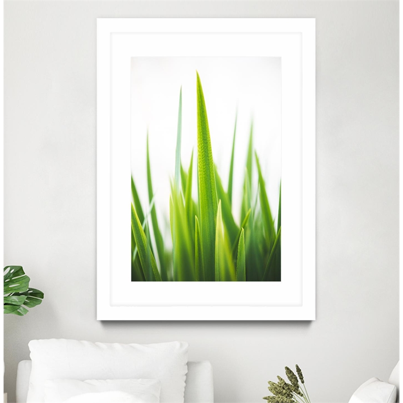 Giant Art 24x36 Blades of Green No. 1 Matted and Framed in Multi-Color