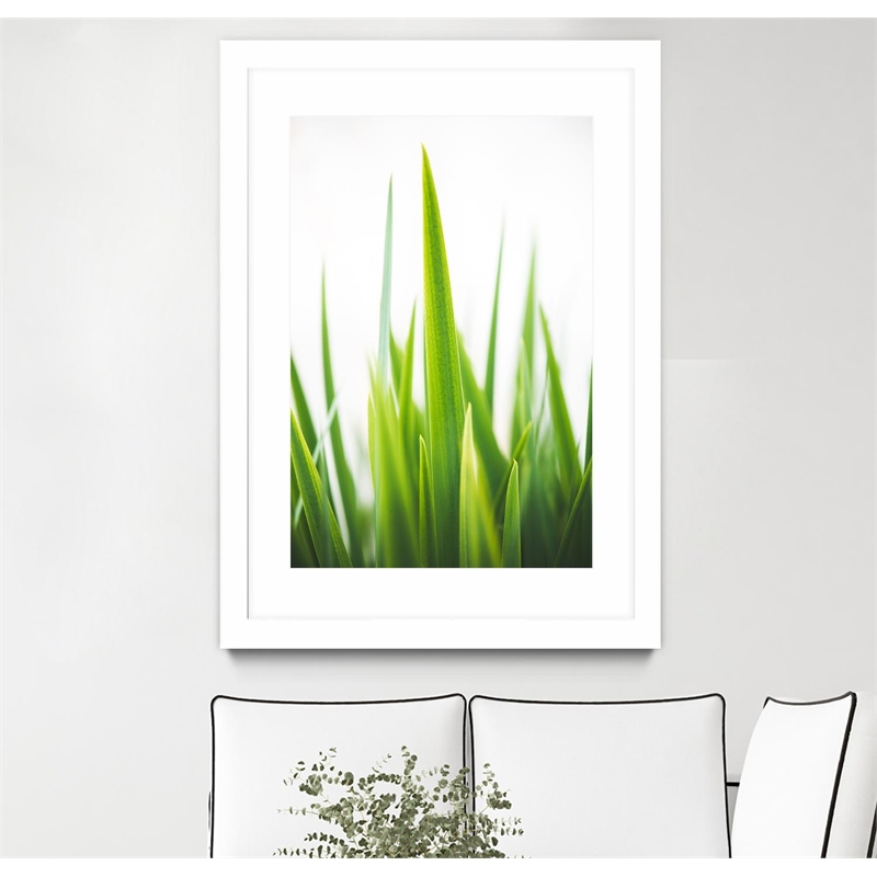 Giant Art 24x36 Blades of Green No. 1 Matted and Framed in Multi-Color