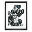 Giant Art 24x32 Dalmatian Rocks I Matted and Framed in White