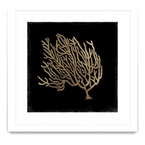 Giant Art 36x36 Gold Coral II Matted and Framed in Multi-Color