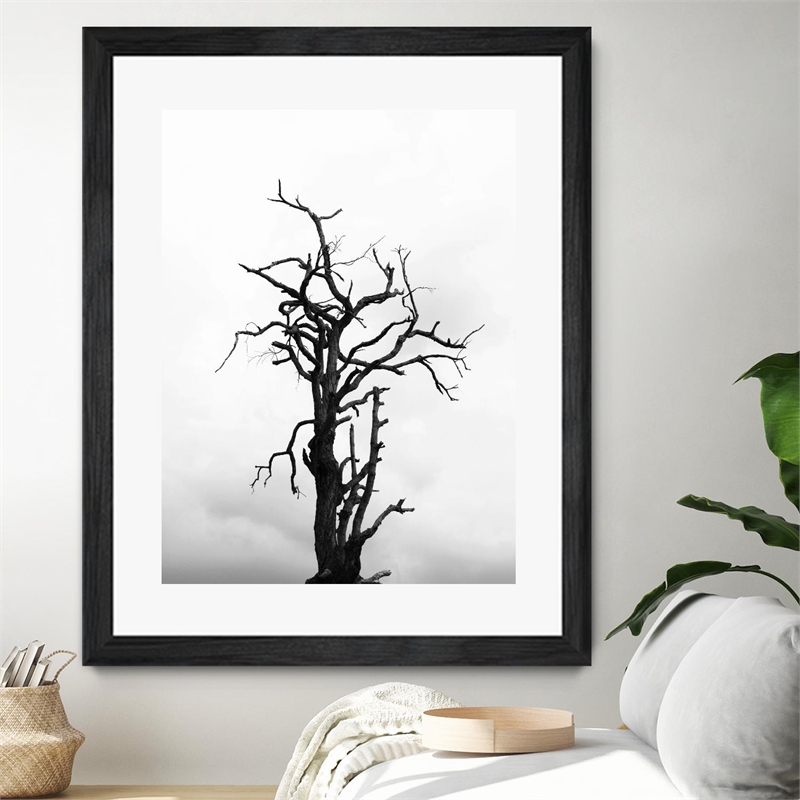 Giant Art 30x40 Dead tree Matted and Framed in White