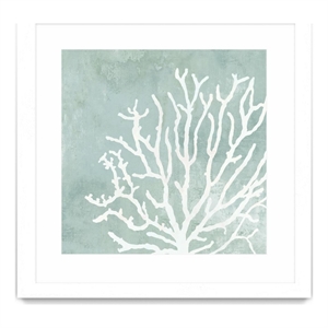 Giant Art 36x36 Sea Crown II Matted and Framed in Multi-Color