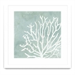 Giant Art 36x36 Sea Crown II Matted and Framed in Multi-Color