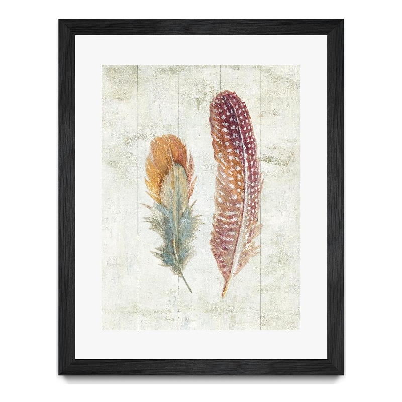 Giant Art 30x40 Natural Flora XI Bold Feathers Matted and Framed in Multi-Color