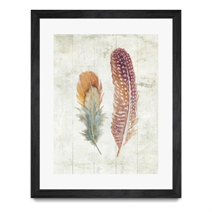 Giant Art 30x40 Natural Flora XI Bold Feathers Matted and Framed in Multi-Color