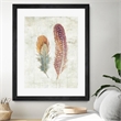 Giant Art 24x32 Natural Flora XI Bold Feathers Matted and Framed in Multi-Color