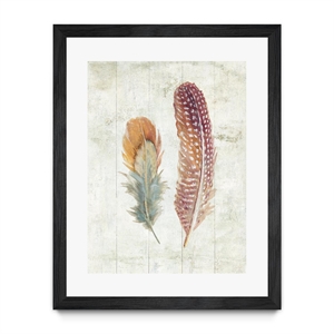 Giant Art 24x32 Natural Flora XI Bold Feathers Matted and Framed in Multi-Color