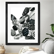 Giant Art 24x32 Dalmatian Rocks II Matted and Framed in White