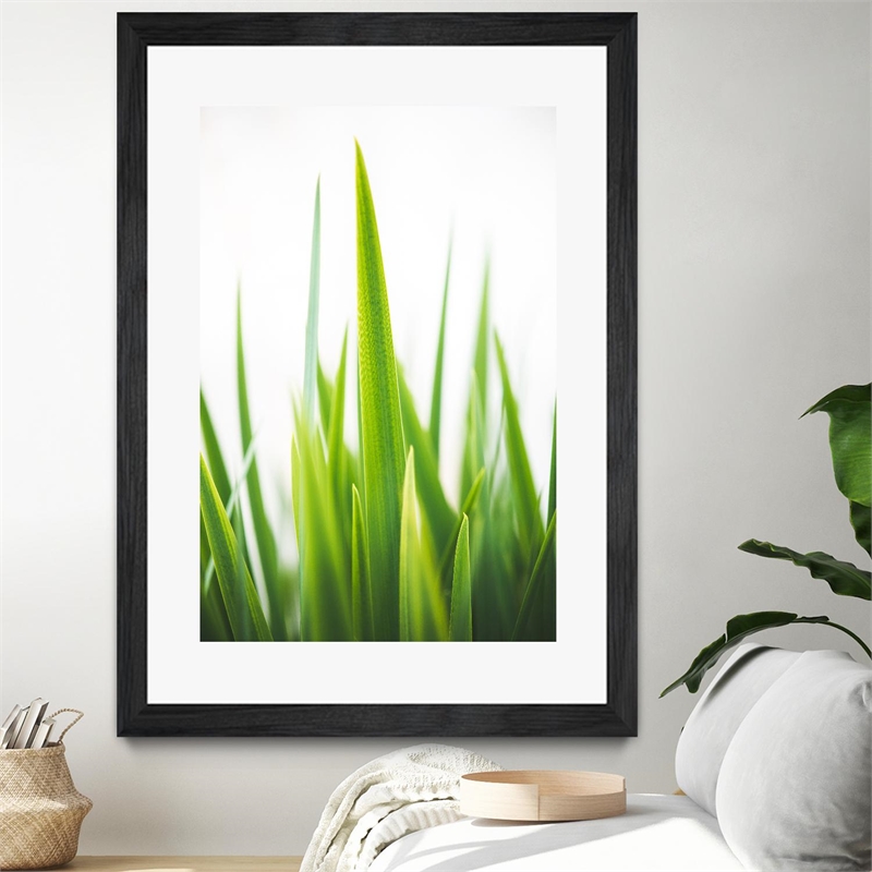 Giant Art 24x36 Blades of Green No. 1 Matted and Framed in Multi-Color
