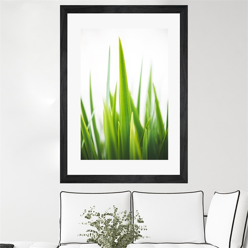 Giant Art 24x36 Blades of Green No. 1 Matted and Framed in Multi-Color