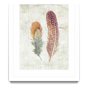 Giant Art 30x40 Natural Flora XI Bold Feathers Matted and Framed in Multi-Color