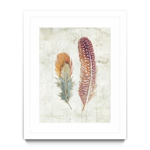 Giant Art 24x32 Natural Flora XI Bold Feathers Matted and Framed in Multi-Color