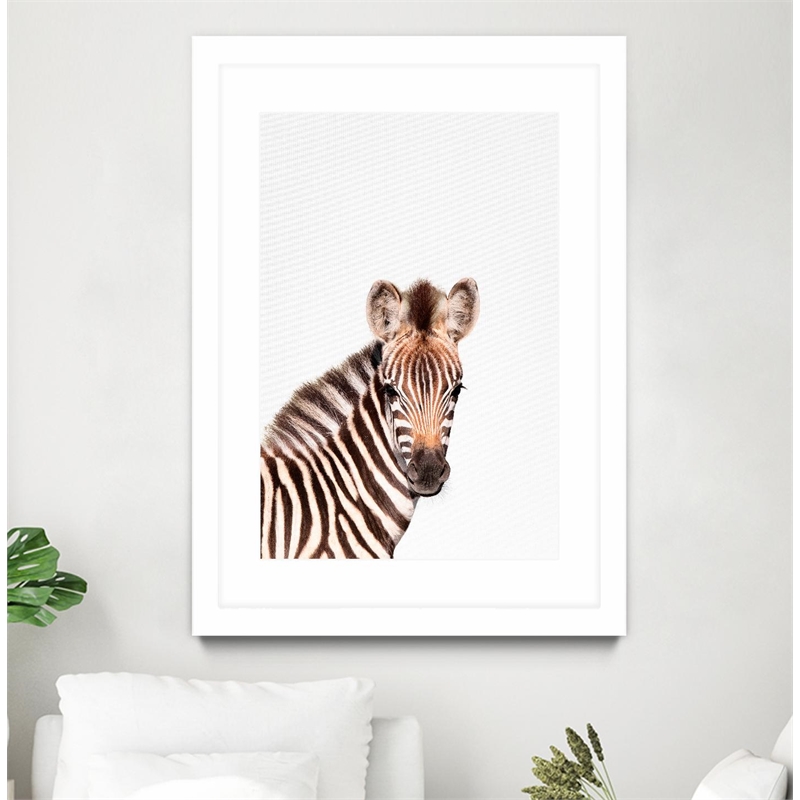 Giant Art 24x36 Baby Zebra Matted and Framed in Multi-Color