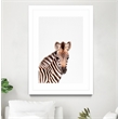 Giant Art 24x36 Baby Zebra Matted and Framed in Multi-Color
