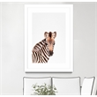 Giant Art 24x36 Baby Zebra Matted and Framed in Multi-Color