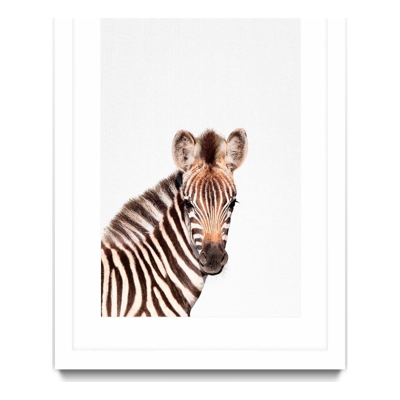 Giant Art 24x36 Baby Zebra Matted and Framed in Multi-Color