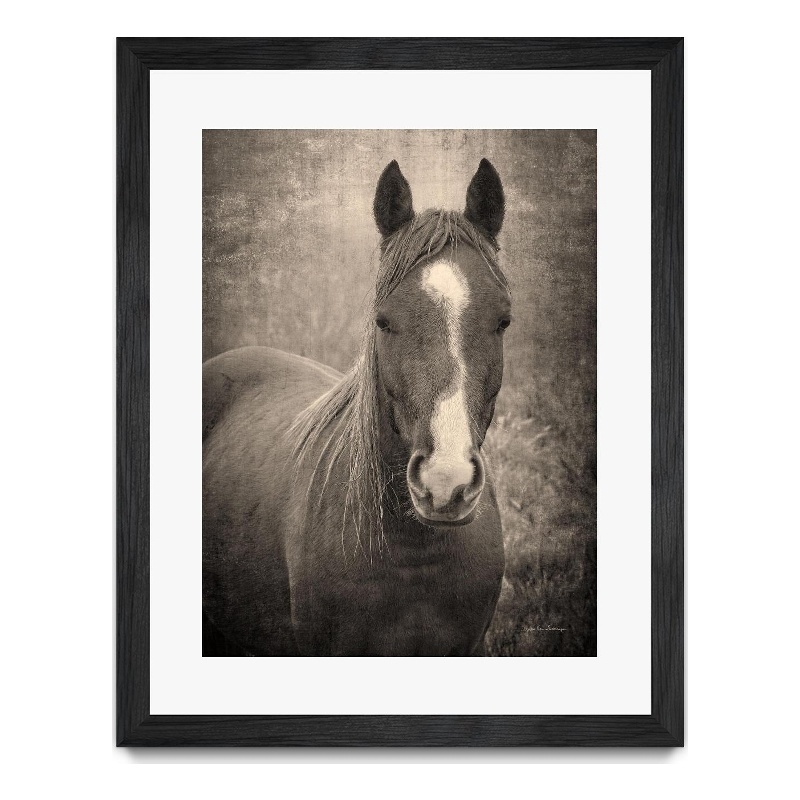 Giant Art 24x32 Heres Looking at You II Matted and Framed in