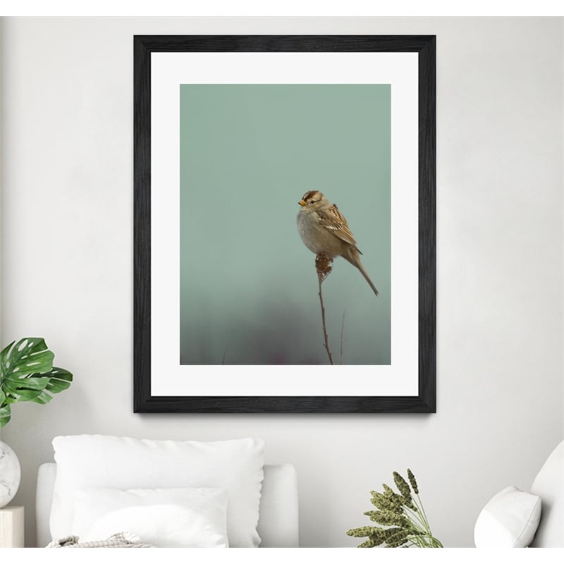 Giant Art 30x40 Perch Matted and Framed in Multi-Color