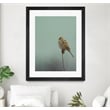 Giant Art 30x40 Perch Matted and Framed in Multi-Color