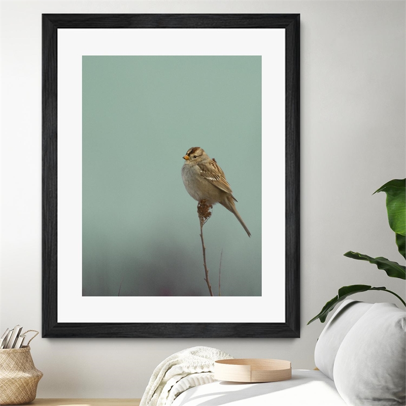Giant Art 30x40 Perch Matted and Framed in Multi-Color