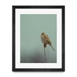 Giant Art 30x40 Perch Matted and Framed in Multi-Color