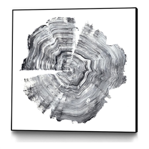 Giant Art Canvas  30x30 Tree Ring Abstract IV Framed in White