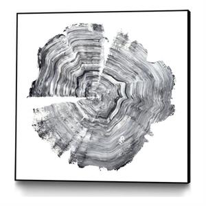 Giant Art Canvas  20x20 Tree Ring Abstract IV Framed in White