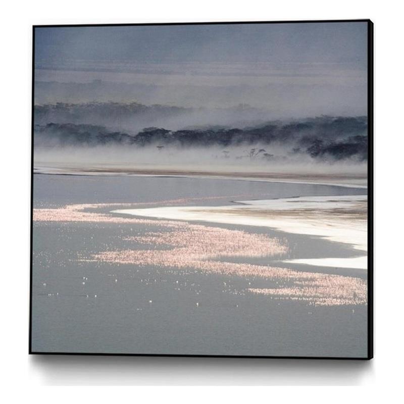 Giant Art Canvas  20x20 Flamingo Land Square Framed in Multi-Color
