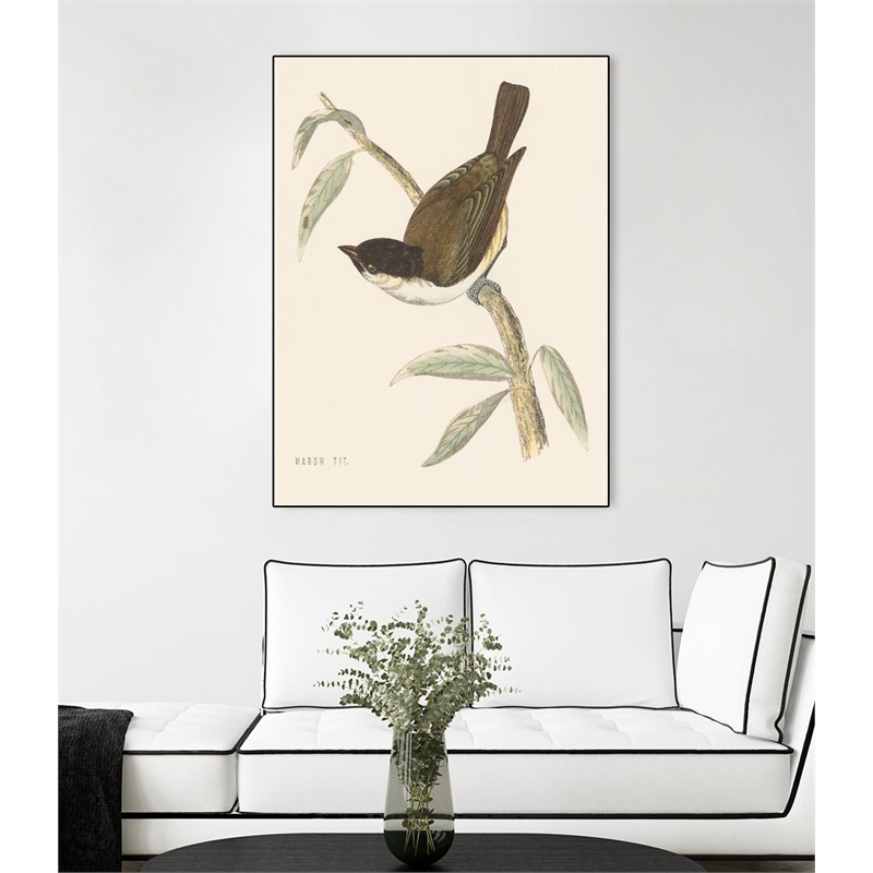 Giant Art Canvas  24x32 Engraved Birds II Framed in Multi-Color