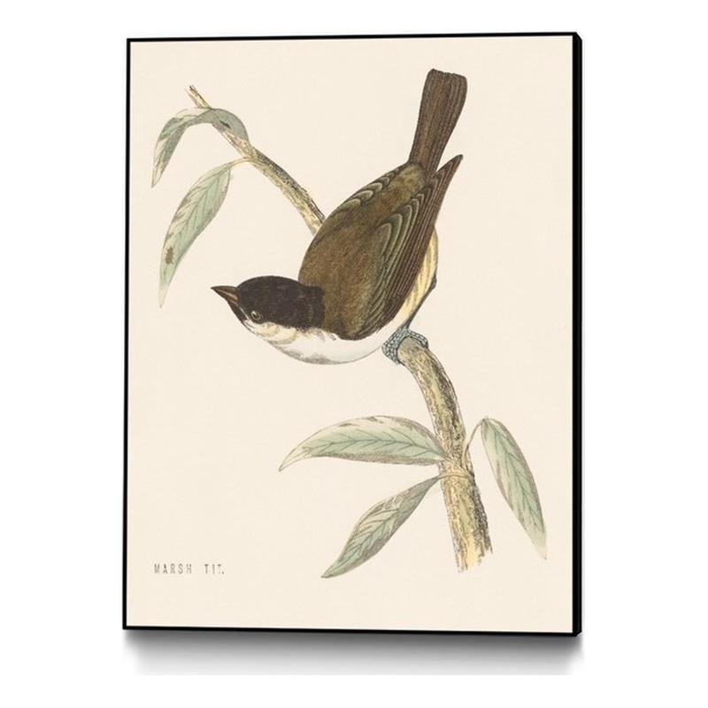 Giant Art Canvas  24x32 Engraved Birds II Framed in Multi-Color