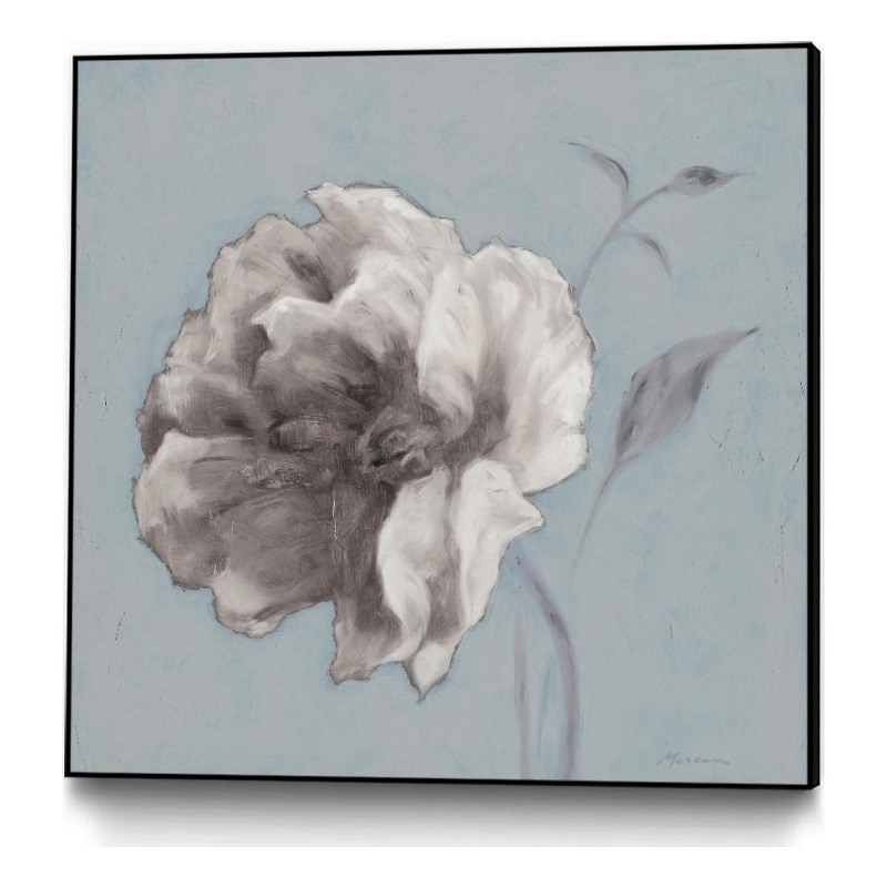 Giant Art Canvas  30x30 FLORAL SYMPOSIUM II Framed in White