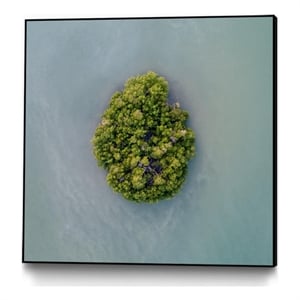Giant Art Canvas  30x30 Lonely Island Framed in Green